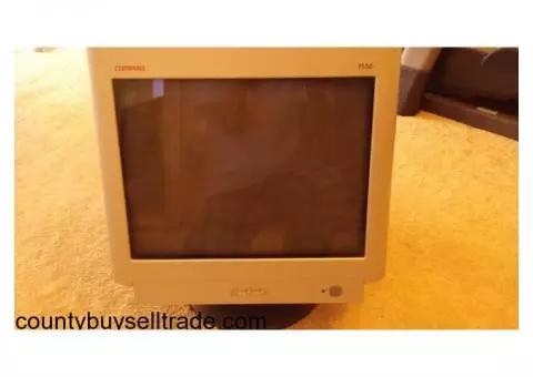 Compact computer monitor